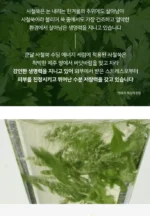 ⁦سيروم معالج للبشرة Artemisia Soothing Energy Serum⁩ - الصورة ⁦6⁩