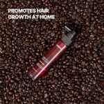 ⁦منشط فروة الرأس كوندال KUNDAL⁩ - الصورة ⁦5⁩