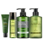 بوكس إشراقة الشاي الأخضر